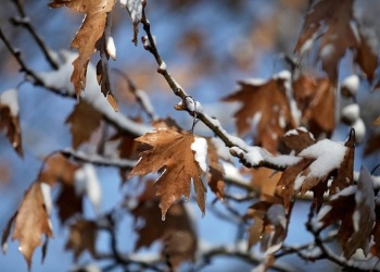 φώτο αρχείου