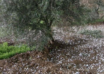 φώτο αρχείου