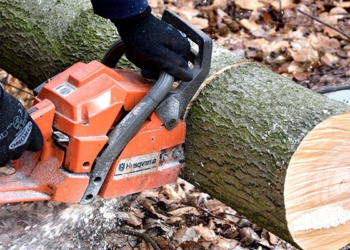best-chainsaw
