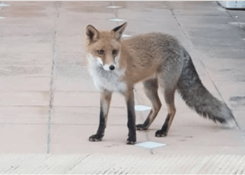 φώτο αρχείου