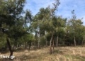 φώτο αρχείου