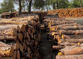 φώτο αρχείου