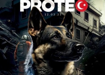 in.gr