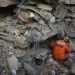 AP Photo/Emrah Gurel