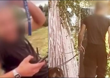 Ο άνδρας που φέρεται να βάζει τον σκύλο του να σκοτώνει γάτες (Screenshot/Mega)