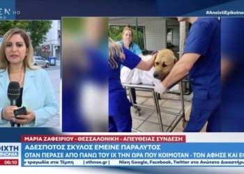 tvopen.gr