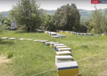 ertnews.gr