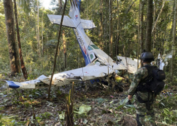 (Colombia's Armed Forces Press Office via AP)