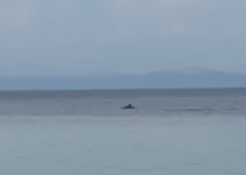 seleo.gr