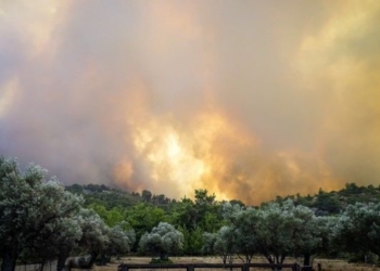 Φωτιά στη Ρόδο  EUROKINISSI