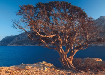 Η παραλία Καλοταρίτισσα. (Φωτογραφία: Όλγα Χαραμή)