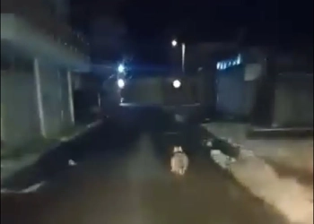 φώτο αρχείου