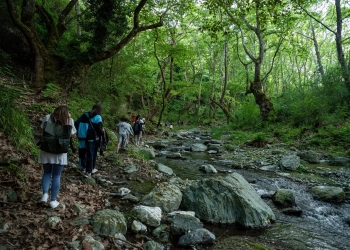 Μερικοί λένε πως ο Κίσσαβος είναι το ωραιότερο βουνό της Ελλάδας. Photo: Δήμος Αγιάς