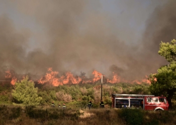 Πυρκαγιά στη Βορειοανατολική Αττική. Δευτέρα 12 Αυγούστου 2024  (ΜΙΧΑΛΗΣ ΚΑΡΑΓΙΑΝΝΗΣ / EUROKINISSI)