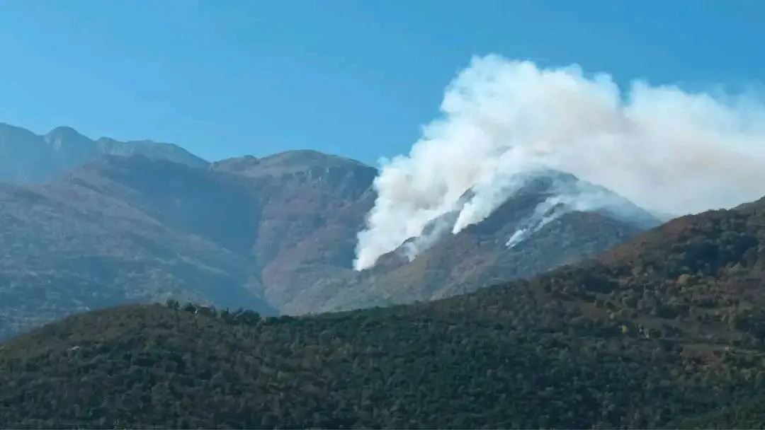 Δασική Οικολογία - Δασικές Πυρκαγιές/Facebook